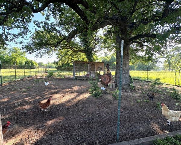 1228 County Road 348 LOOP, Gause, TX 77857