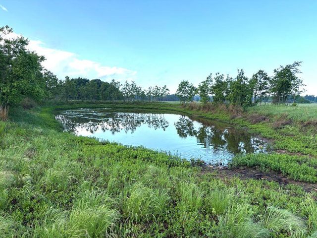 1228 County Road 348 LOOP, Gause, TX 77857