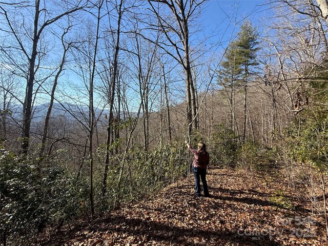 11 Lots Brer Rabbit Trail, Waynesville, NC 28785