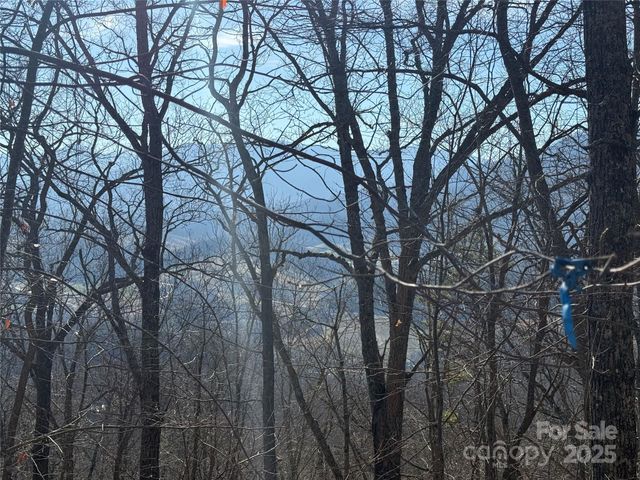 11 Lots Brer Rabbit Trail, Waynesville, NC 28785