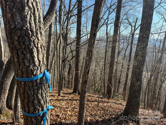 11 Lots Brer Rabbit Trail, Waynesville, NC 28785