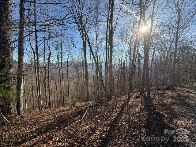 11 Lots Brer Rabbit Trail, Waynesville, NC 28785