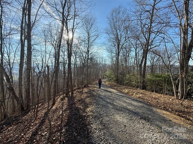 11 Lots Brer Rabbit Trail, Waynesville, NC 28785