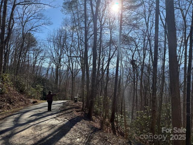 11 Lots Brer Rabbit Trail, Waynesville, NC 28785