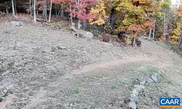 1494 SPRUCE CREEK LN, Nellysford, VA 22958