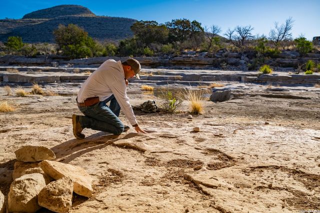 000 Pandale HWY, Pandale, TX 78840