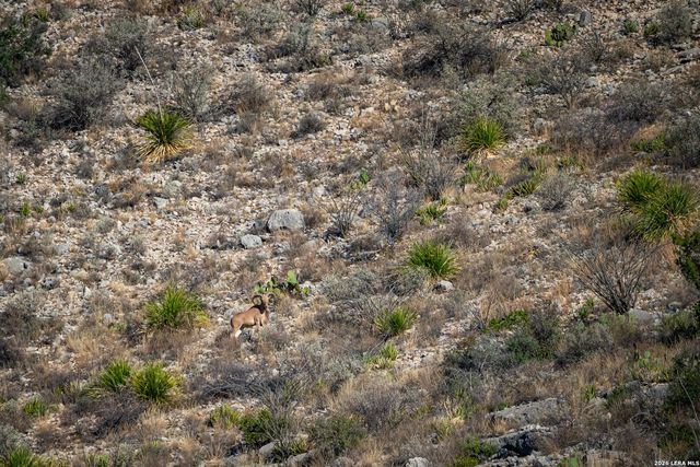 000 Pandale HWY, Pandale, TX 78840