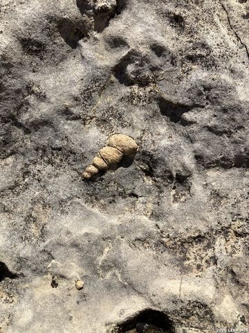 000 Pandale HWY, Pandale, TX 78840