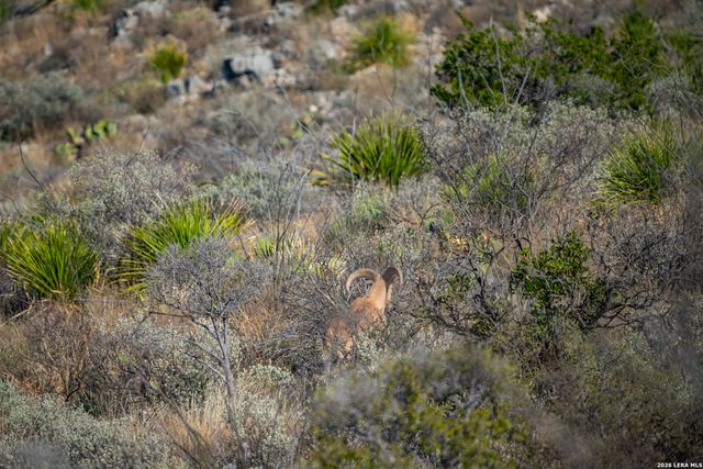 000 Pandale HWY, Pandale, TX 78840