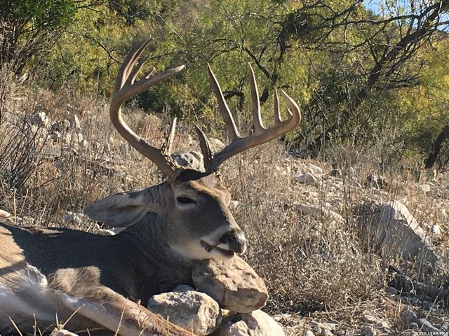 000 Pandale HWY, Pandale, TX 78840