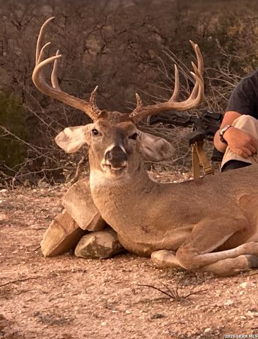 000 Pandale HWY, Pandale, TX 78840