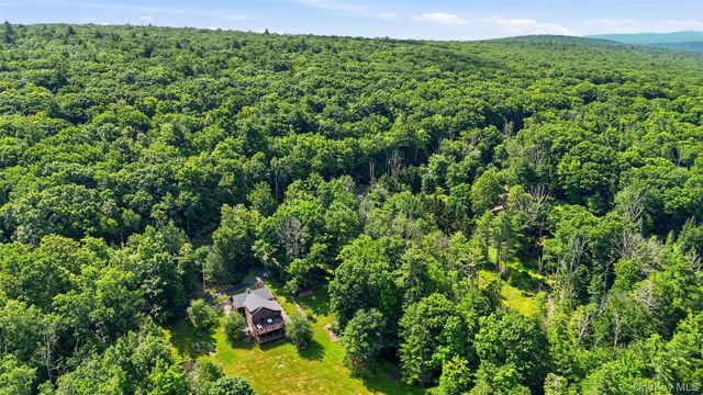 905 Pine Kill Road, Wurtsboro, NY 12790
