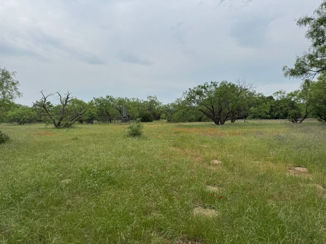 12550 County Road 136, Breckenridge, TX 76470
