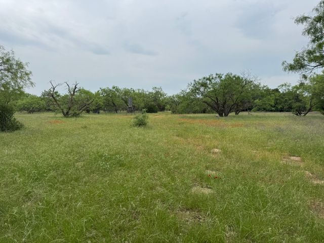 12550 County Road 136, Breckenridge, TX 76470