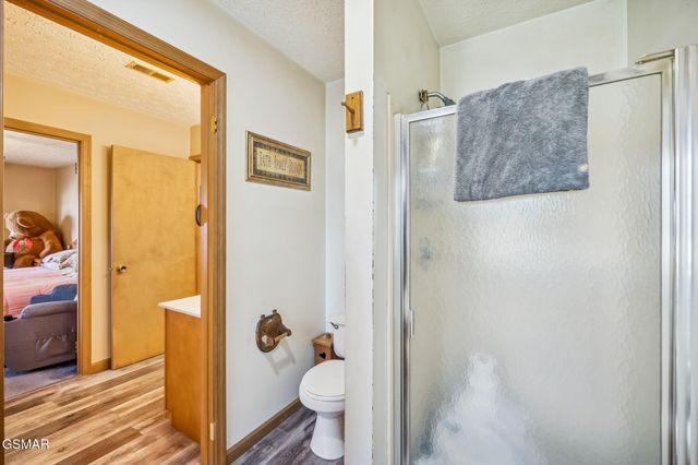 3514 Ginseng Way, Sevierville, TN 37862