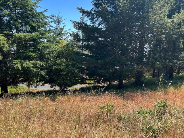 42 Vista Road, Shelter Cove, CA 95589