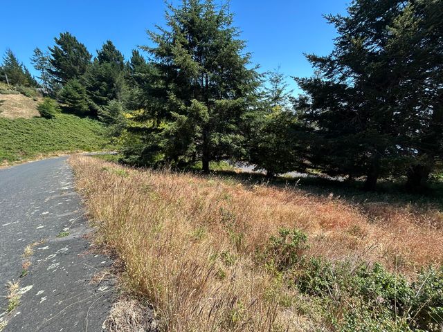 42 Vista Road, Shelter Cove, CA 95589