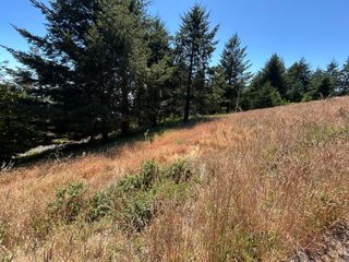 42 Vista Road, Shelter Cove, CA 95589