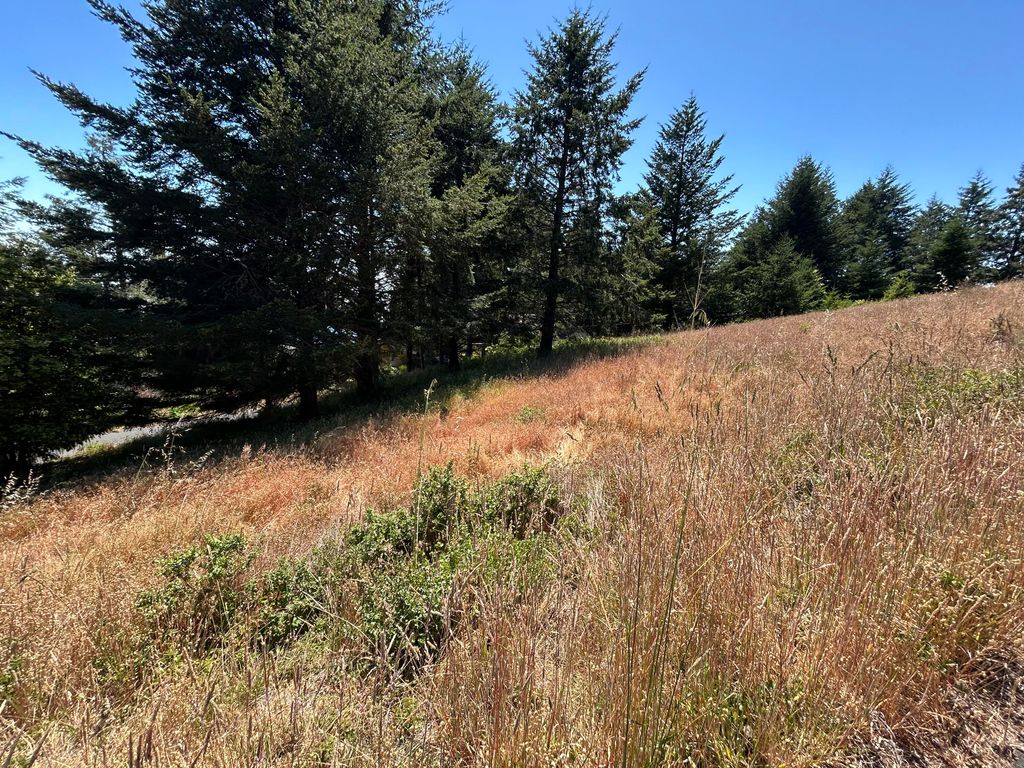 42 Vista Road, Shelter Cove, CA 95589