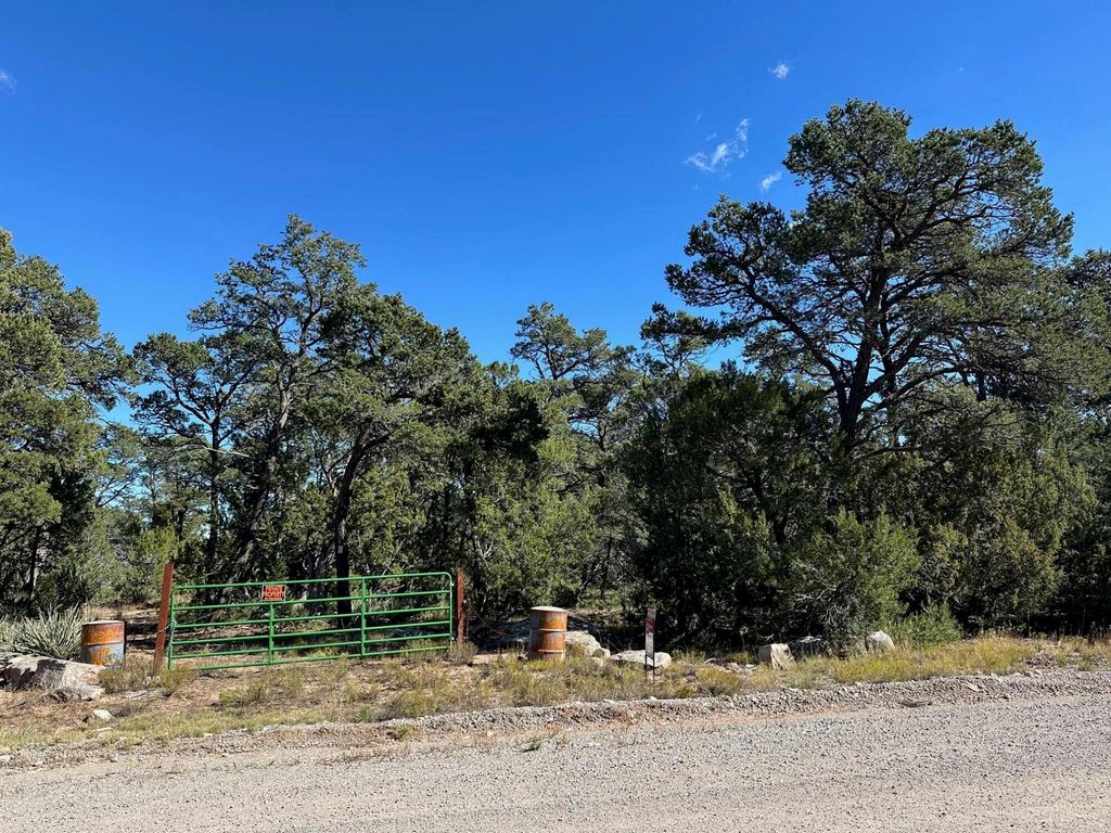 Ogaz Lp, Edgewood, NM 87015