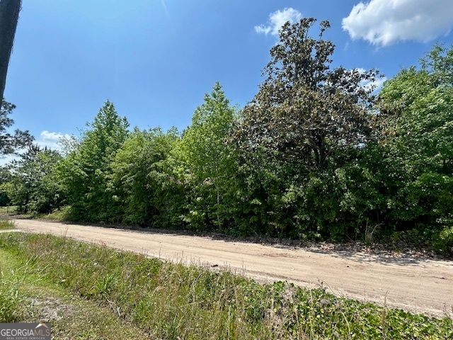 4674 Coleman Bridge SPUR, Cobbtown, GA 30420