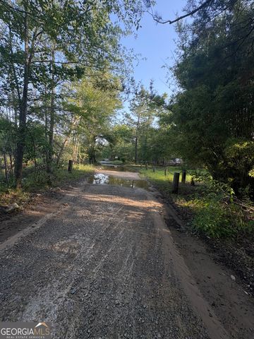 4674 Coleman Bridge SPUR, Cobbtown, GA 30420