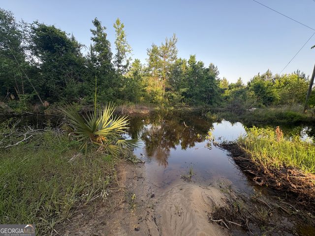 4674 Coleman Bridge SPUR, Cobbtown, GA 30420