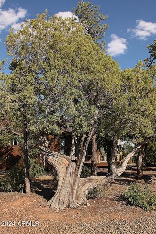 860 W SNOW CREEK Trail, Show Low, AZ 85901