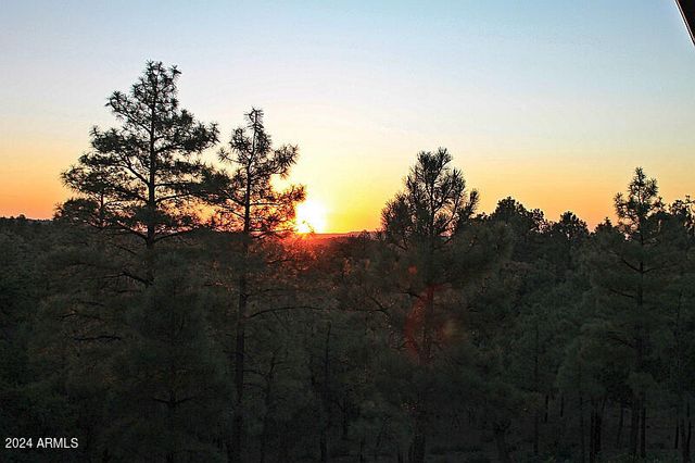 860 W SNOW CREEK Trail, Show Low, AZ 85901