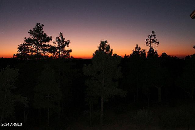 860 W SNOW CREEK Trail, Show Low, AZ 85901