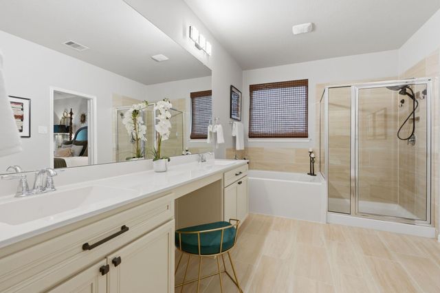 24219 Birchwood Creek Court, Spring, TX 77389