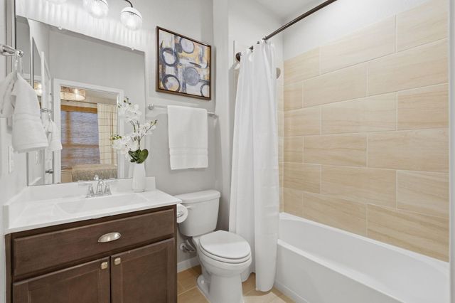 24219 Birchwood Creek Court, Spring, TX 77389