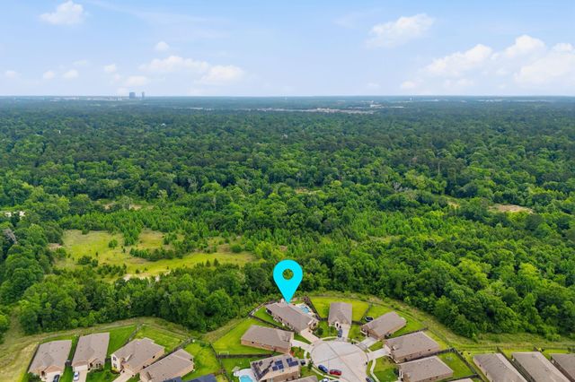 24219 Birchwood Creek Court, Spring, TX 77389