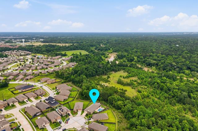 24219 Birchwood Creek Court, Spring, TX 77389