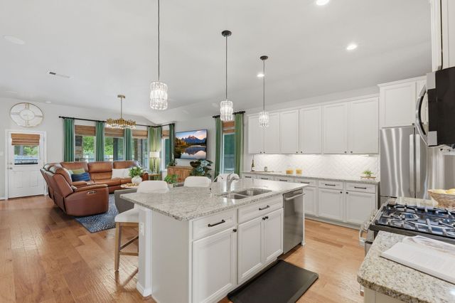 24219 Birchwood Creek Court, Spring, TX 77389