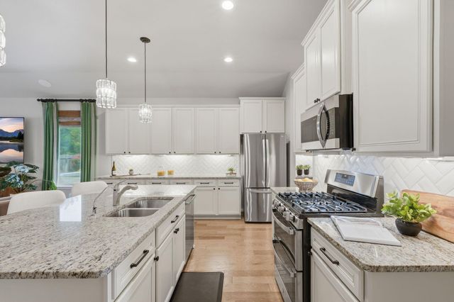 24219 Birchwood Creek Court, Spring, TX 77389