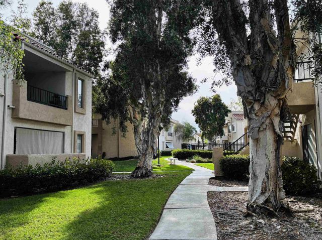 8476 New Salem 78, San Diego, CA 92126