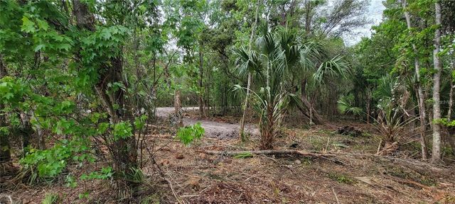0 N POINCIANA BOULEVARD, Kissimmee, FL 34746