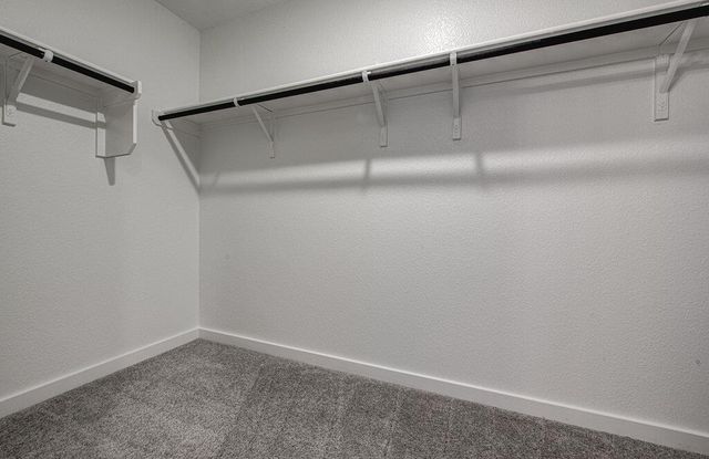 424 Bristlecone BND, Liberty Hill, TX 78642