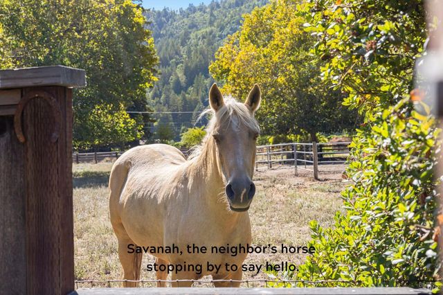 16390 Laughlin Rd, Guerneville, CA 95446