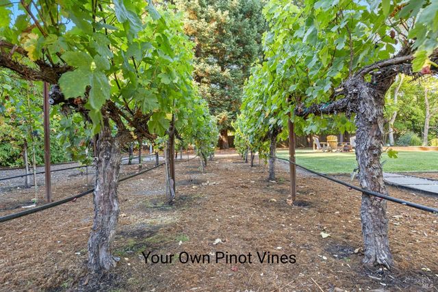 16390 Laughlin Rd, Guerneville, CA 95446