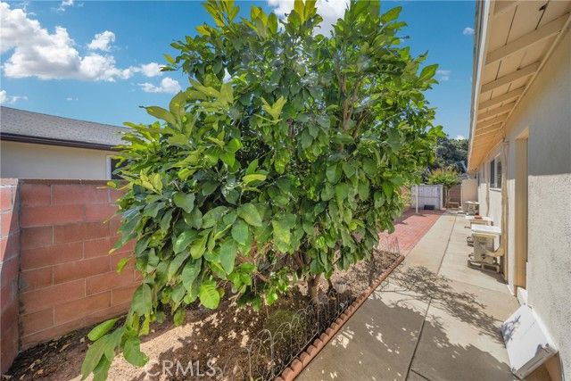 10631 Olive, Temple City, CA 91780