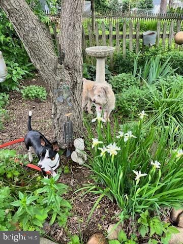 126 S COMMERCE ST, Centreville, MD 21617