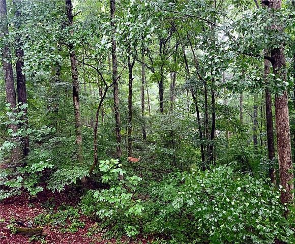 324 Sutallee Place, White, GA 30184