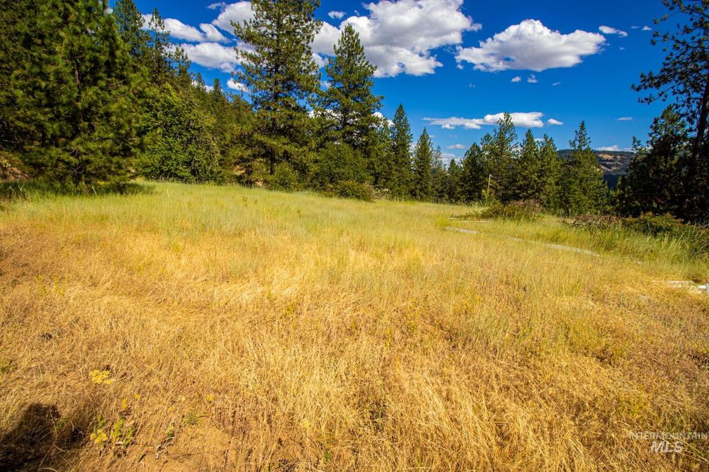 0 Whitetail Drive, Ahsahka, ID 83520 photo 11