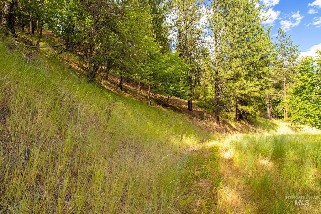 0 Whitetail Drive, Ahsahka, ID 83520 photo 14