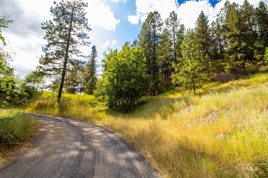 0 Whitetail Drive, Ahsahka, ID 83520 photo 15