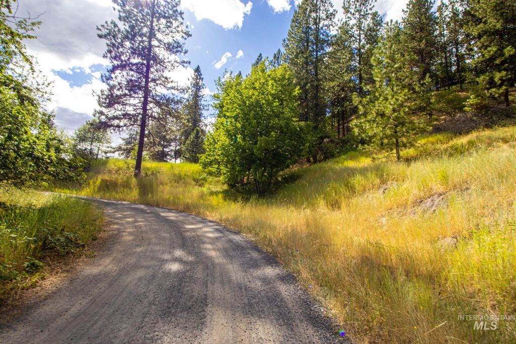 0 Whitetail Drive, Ahsahka, ID 83520 photo 16