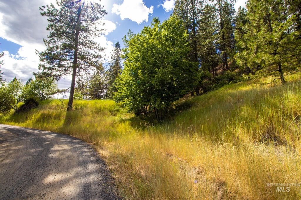 0 Whitetail Drive, Ahsahka, ID 83520 photo 17