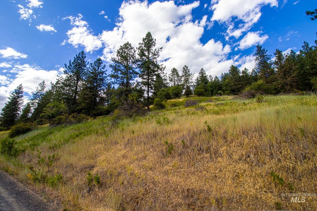 0 Whitetail Drive, Ahsahka, ID 83520 photo 2